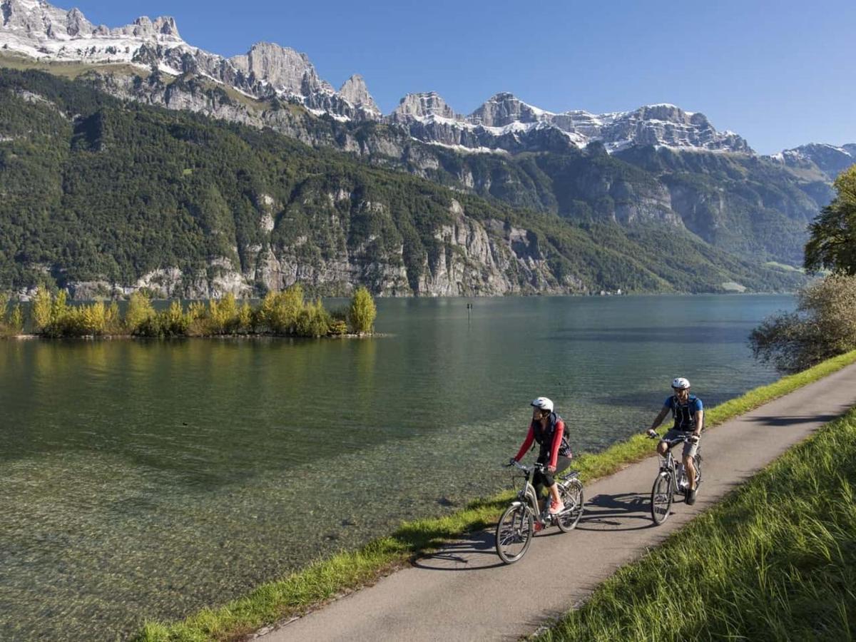 Walensee Apartment, Lakeside Dream Apartment *